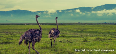 Rachel Bloomfield Ngorongoro crater Tanzania